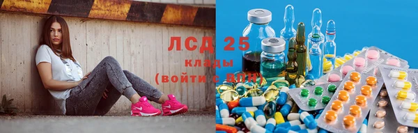прущие грибы Абдулино