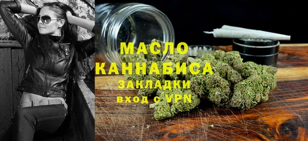 дмт Алексин