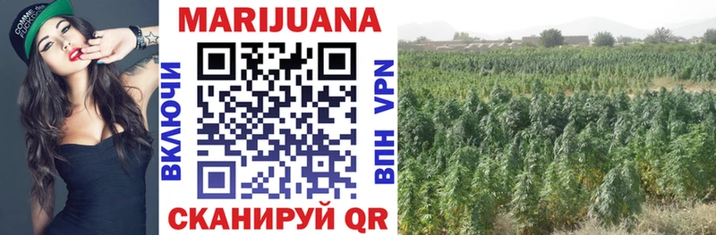 где купить наркоту Егорьевск MEGA как войти Каннабис индика